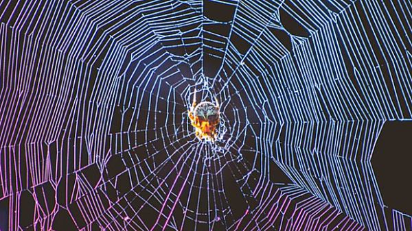 Женщина превратила свою квартиру в зловонный рассадник пауков и мух