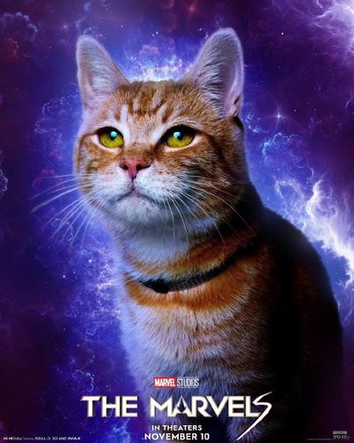 Кошка Гуся, Бри Ларсон и другие герои на постерах фильма "Марвелы"